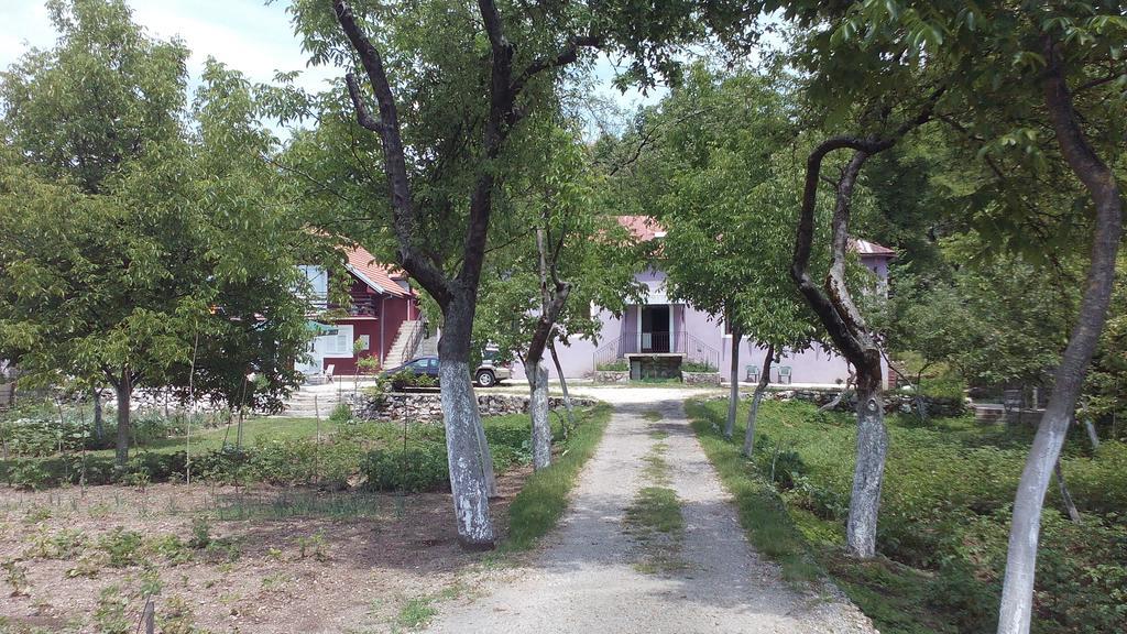 Casa Calda Apartments Cetinje Habitación foto